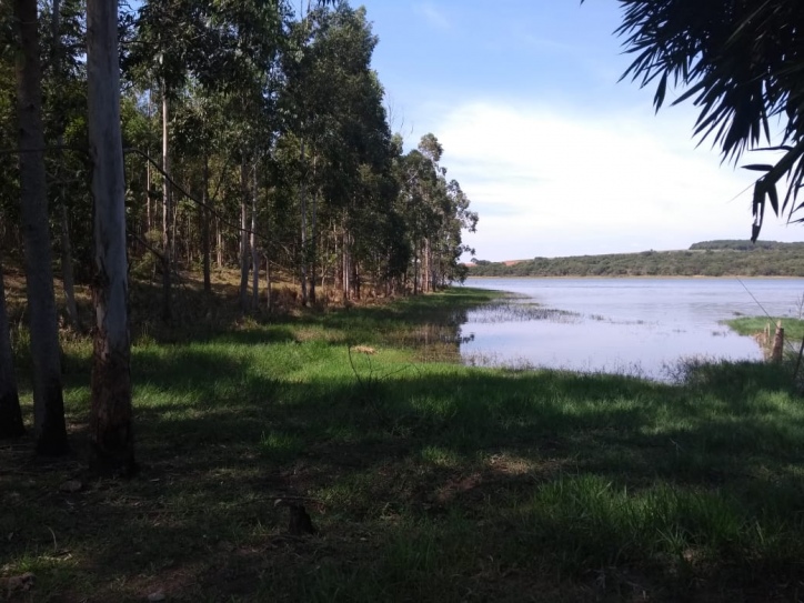 #84 - Área para Venda em Piraju - SP