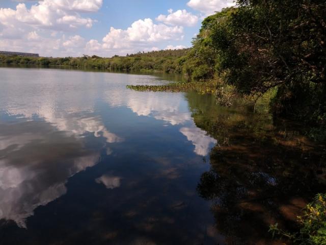 #192 - Área para Venda em Piraju - SP