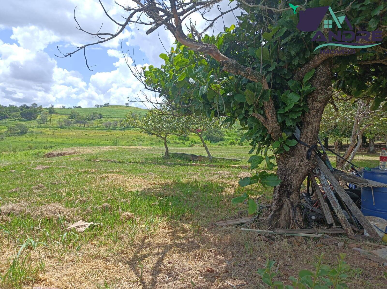 Fazenda à venda com 3 quartos, 14000m² - Foto 4