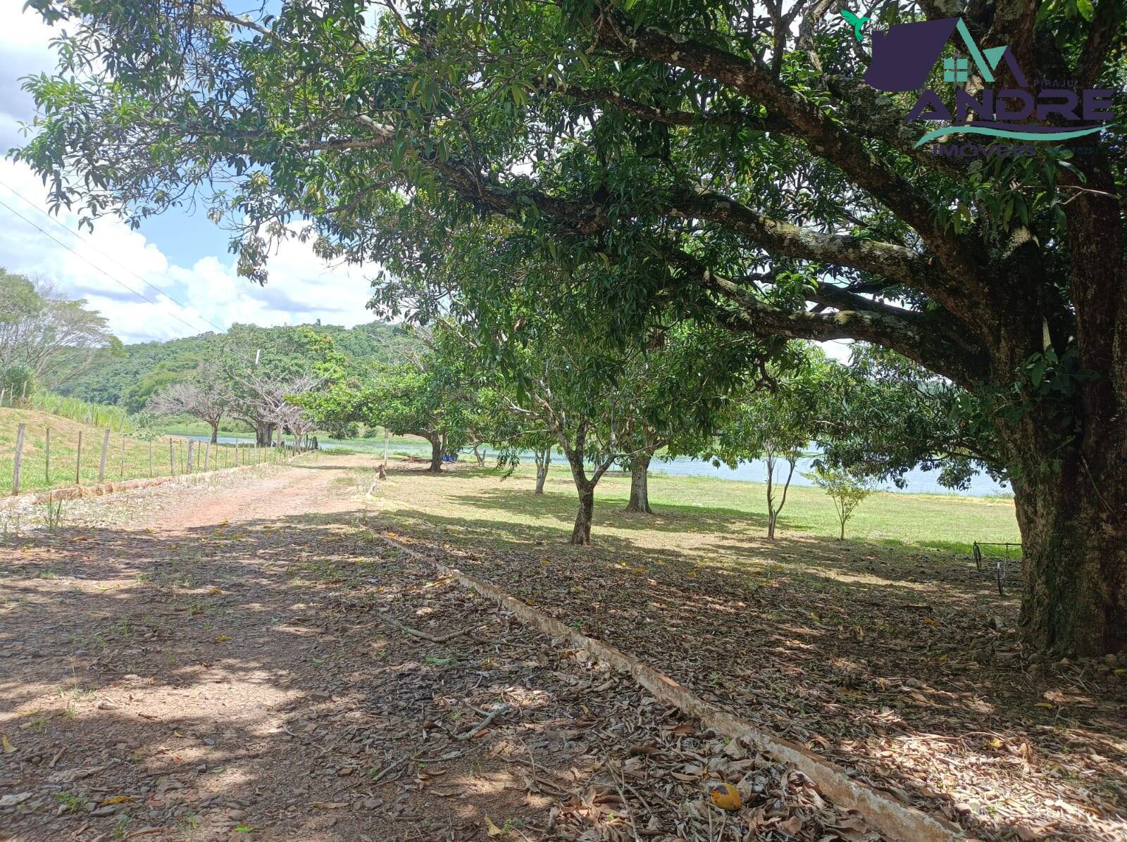 Fazenda à venda com 3 quartos, 14000m² - Foto 8