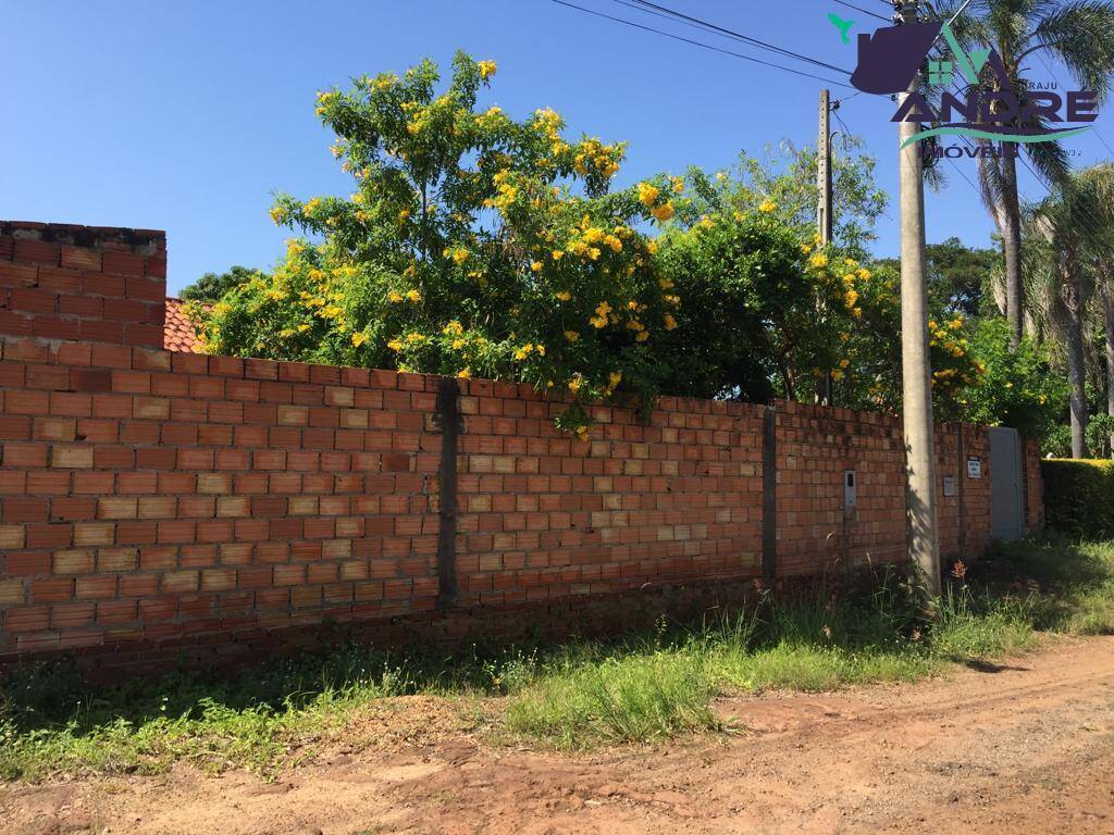 Fazenda à venda com 2 quartos, 1000m² - Foto 2